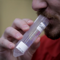 Saliva testing