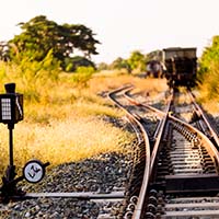 Trolley problem Website